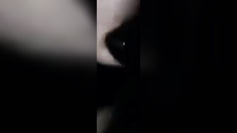 Bareback Slut Gangbanged by Big Cocks