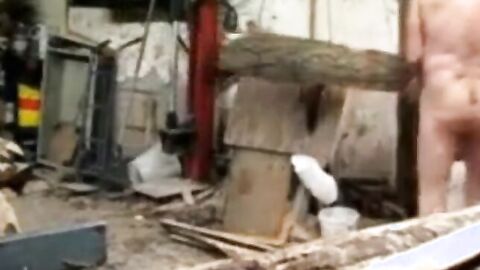 Silver Fox Strokes Wood at the Sawmill