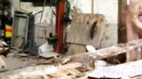 Silver Fox Strokes Wood at the Sawmill