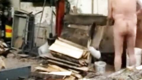 Silver Fox Strokes Wood at the Sawmill