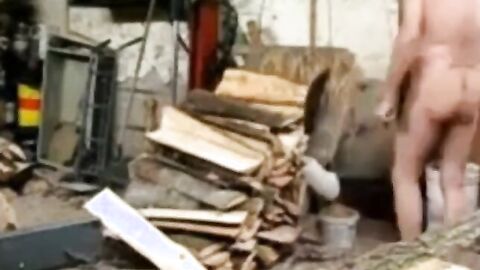 Silver Fox Strokes Wood at the Sawmill