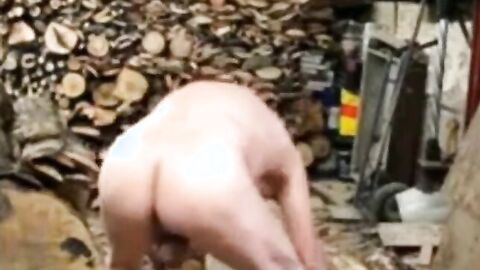 Silver Fox Strokes Wood at the Sawmill