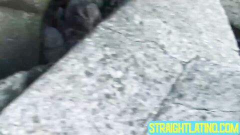 Handsome uber driver WIll skilfully devours two girthy cocks until they cum on him