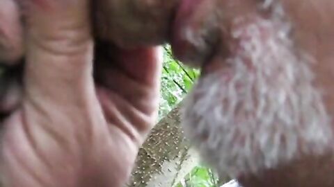 Grindr Hookup: Daddy Bear Blowjob Outdoor