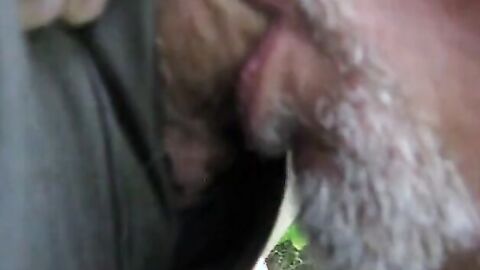 Grindr Hookup: Daddy Bear Blowjob Outdoor