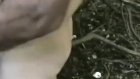 Bareback Whore Takes Multiple Cocks