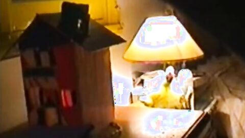 French Guy Sucks Straight Algerian Cock