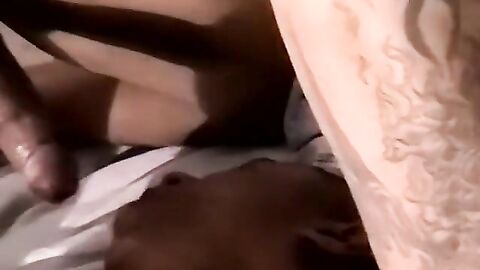 JoeSchmoeXXX.com - Black amateurs breeding deeply until a warm climax