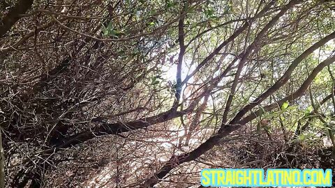 Alluring Dragon Rojo savagely fucks Will Schokolade like a horny slut