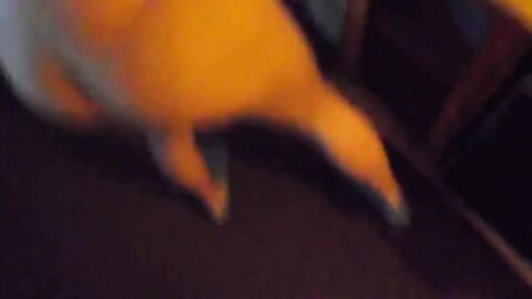 Playing Hide and Seek with Daddy