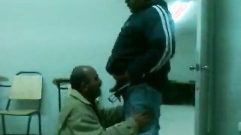 Fat Daddy Bear Sucks Chub