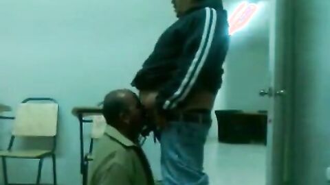 Fat Daddy Bear Sucks Chub