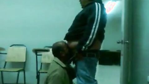 Fat Daddy Bear Sucks Chub