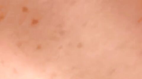 JoeSchmoeXXX.com - White amateurs breeding and getting serious about it