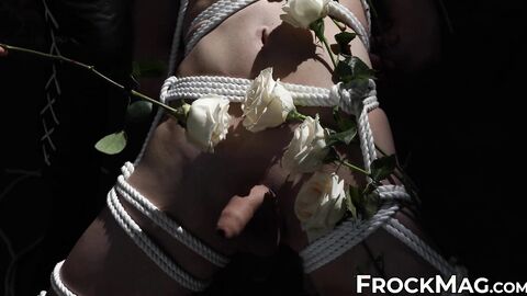 Dominant Bound Fly Boy strokes the white rose into the smooth skin and dick of restra