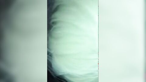 Sissy's First BBC Blowjob Experience