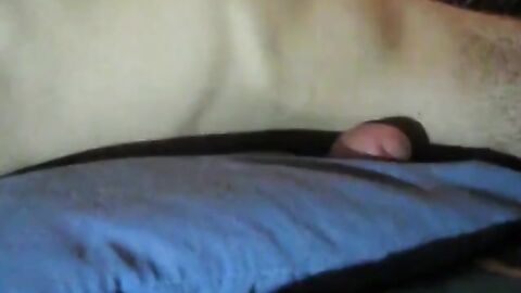 Twink's Blue Pillow Pleasure