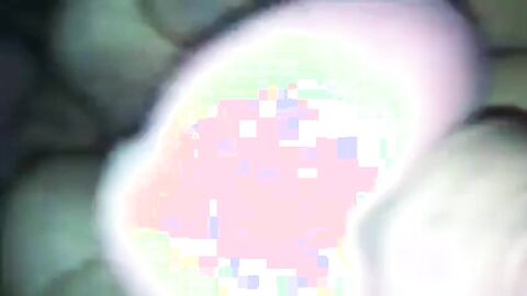 Dirty Bareback Fucking with Amateur Chubby Dude