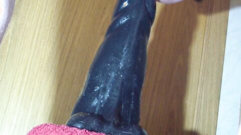 Amateur Anal Madness with Sex Toys