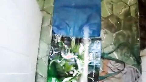 Big Latin Cock Cums Hard