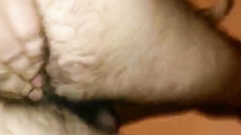 Hairy Indian Bear's First Time