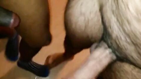 Hairy Indian Bear's First Time