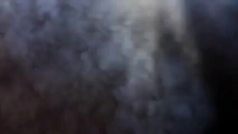 Daddy's Blowjob Adventure