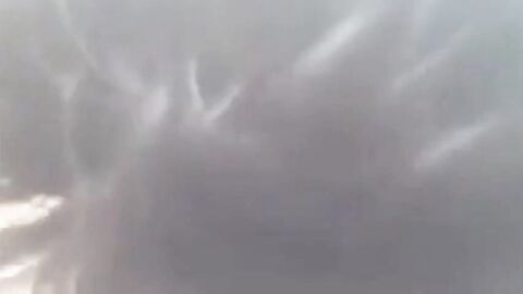 Gay Car Blowjob Amateur Video