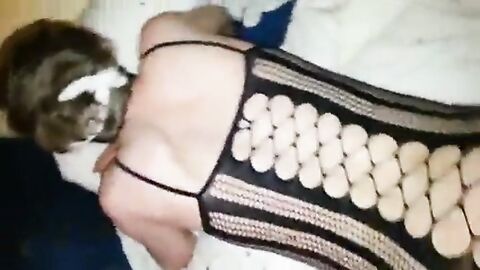 Sissy's Interracial Bareback Creampie