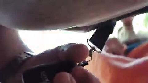 Bearded Daddy Sucks Outdoors