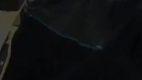 Boss Fucks His Young Employee Bareback