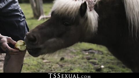 TSSexual.com - Beautiful shemale gets plowed and facialized by husband's employee wit