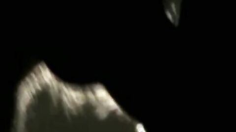 Hottie Cody cums hard after jerking his muscle cock on the couch