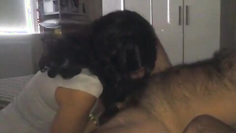 Crossdresser Sucks Married Man