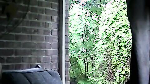 JoeSchmoeXXX.com - Chubby amateur guy devours hairy cock and gets a big load