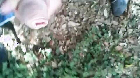 Bearded Man Masturbating Outdoors