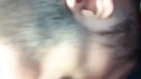 Public WC Blowjob by Amateur Cum Sucker