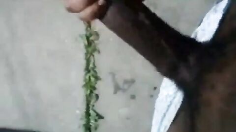 Huge Black Cock Masturbating and Cumming Outdoors
