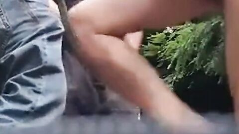 Three Daddies Stroking in the Woods
