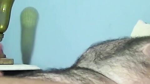 JoeSchmoeXXX.com - Hairy American Lurch gets sucked by mature black homo