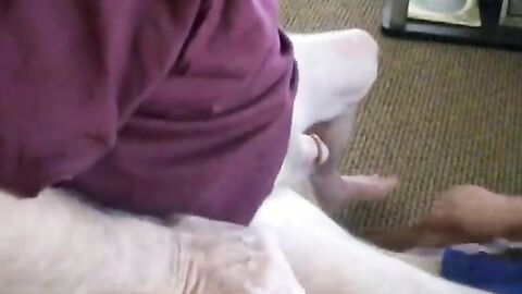 Grandpa and Daddy's Intimate BlowJob Session