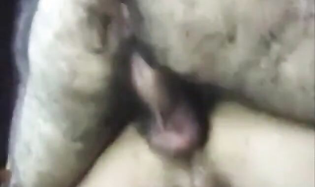 Peludo Coroa Comendo Novinho - Bareback Amateur