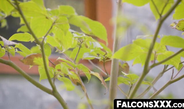 FalconsXXX.com - Outdoor bareback with men Rocky Vallarta and Edward Terrant in a pas