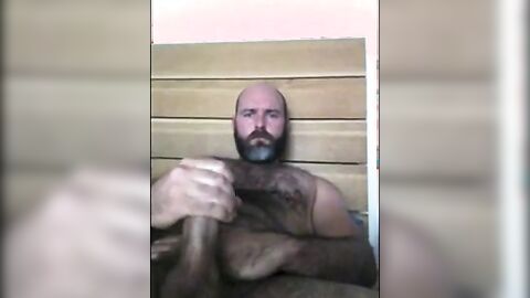 Osito se pajea solo en casa
