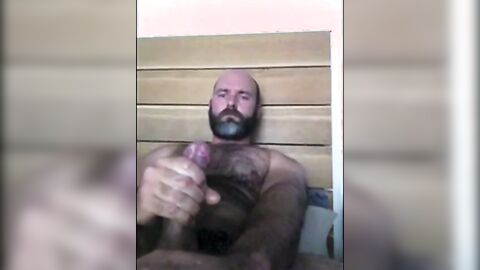 Osito se pajea solo en casa