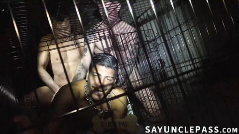 Ty Santana and Greyson Lane breed Apollo Fates virgin puphole