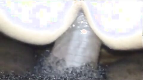 Bareback Amateur Takes Cum in His Ass