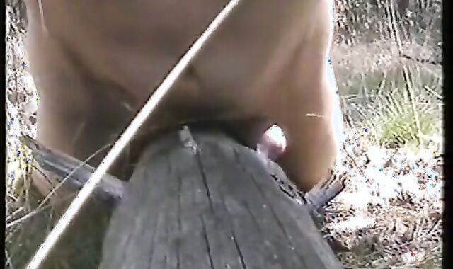 Outdoor Handjob Fun: Tree Trunk Humping Adventure
