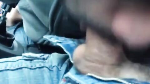 Roadside Fun: Sucking & Stroking