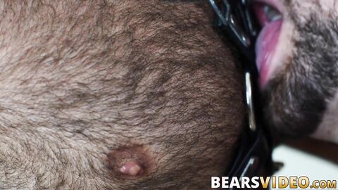Inked bear Atlas Grant hard bareback banging chubby gay